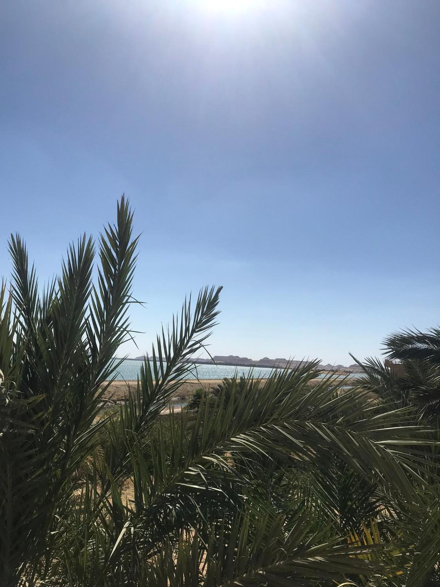 The Nest Hotel Siwa Oasis Buitenkant foto