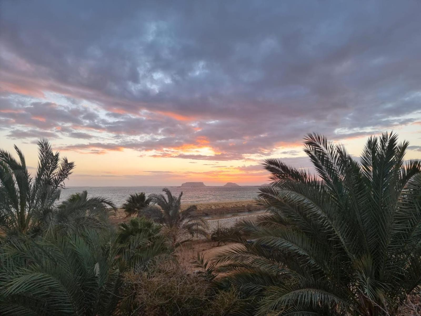 The Nest Hotel Siwa Oasis Buitenkant foto