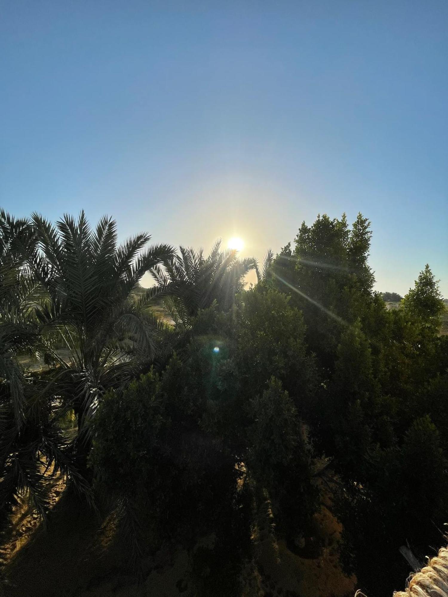 The Nest Hotel Siwa Oasis Buitenkant foto