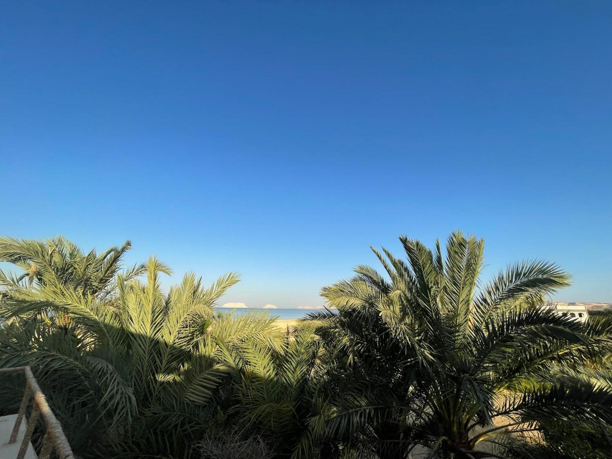 The Nest Hotel Siwa Oasis Buitenkant foto