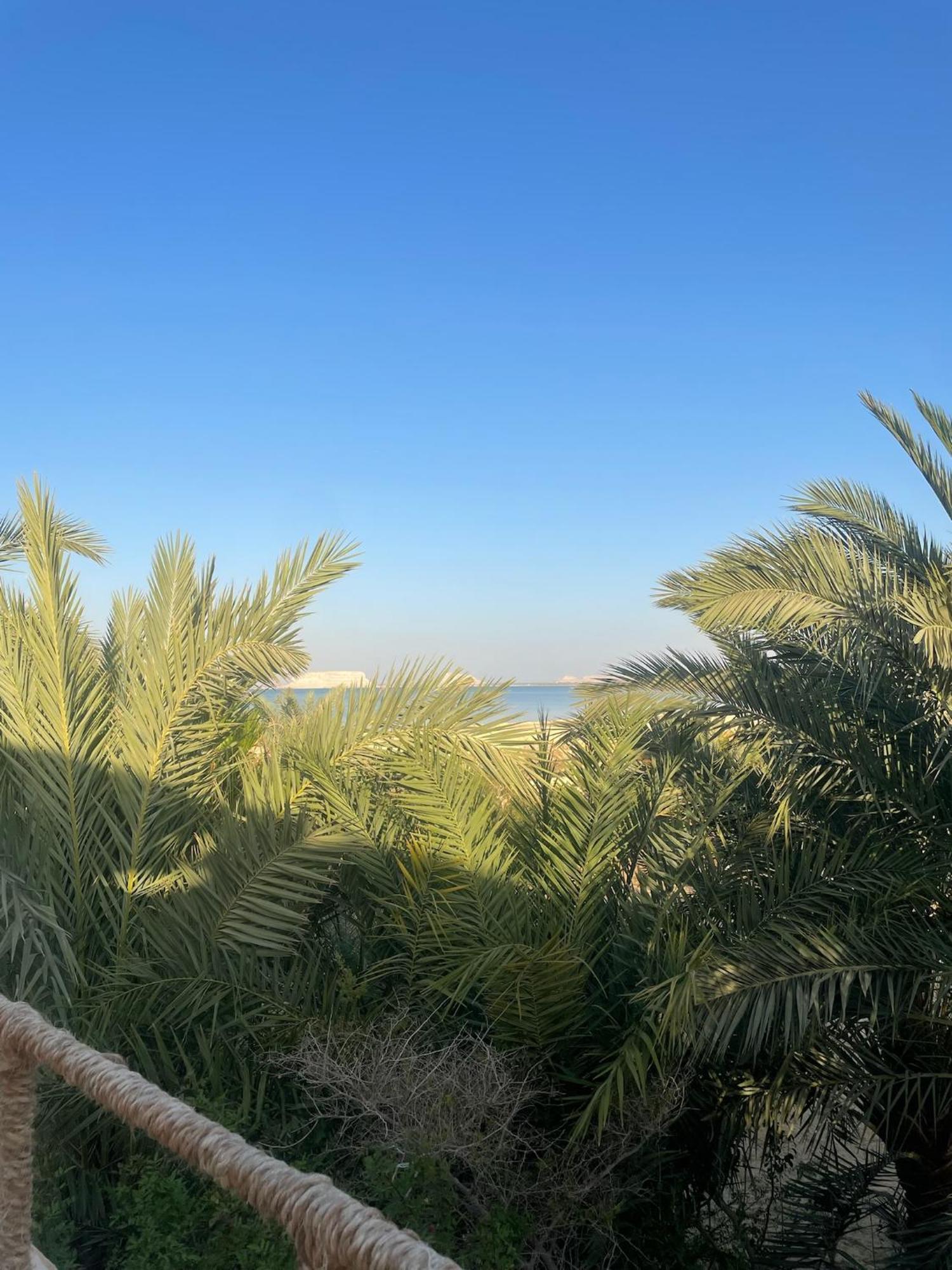 The Nest Hotel Siwa Oasis Buitenkant foto